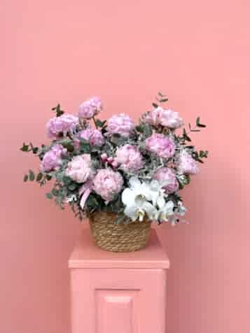 Sepette Pembe Şakayıklar