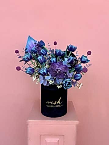 Siyah Kadife Kutuda Vip Blue Sky Laleler