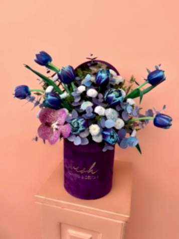 Mor Kadife Kutuda Vip Blue Sky Lale & Vip Krizantem