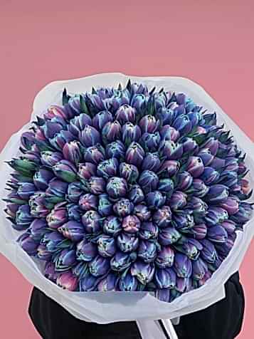 200 Adet Lüks Blue Sky Katmerli Lale Buketi