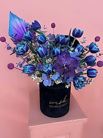 Siyah Kadife Kutuda Vip Blue Sky Laleler