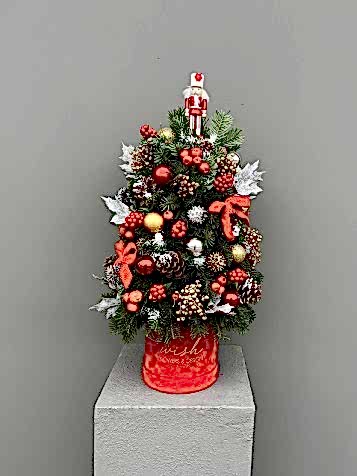 Kırmızı Kadife Kutuda Çam Ağacı