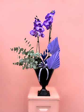 Özel Tür Wonder Purple Orkide