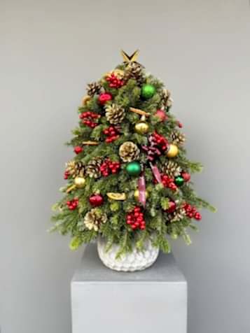 Yeni Yıl Çam Ağacı