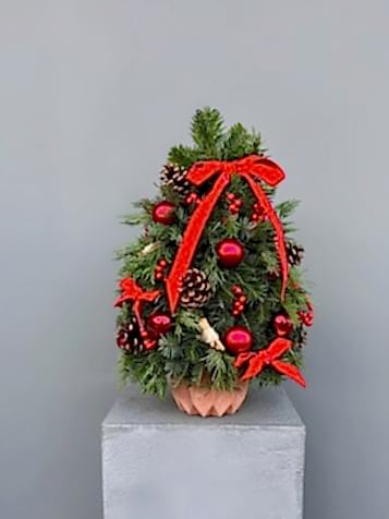 Mini Yılbaşı Çam Ağacı