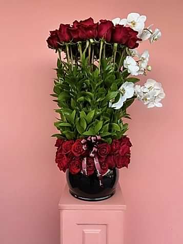 Velvet Luxe Kırmızı Güller Ve Beyaz Orkide Tasarım Aranjman
