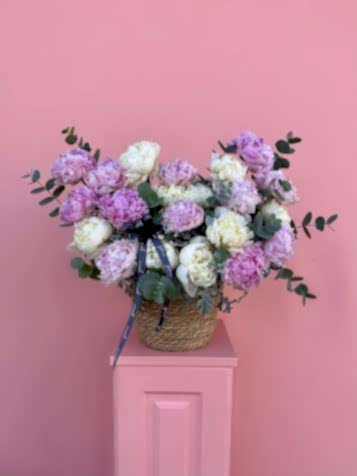 Sepette Beyaz & Pembe Şakayıklar