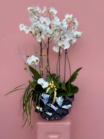 Tasarım Vazoda Beyaz Orkide Bahçesi