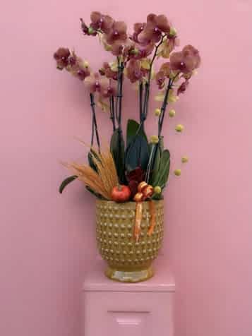 Özel Seramik Vazoda 6 Dallı Surf Song Orkide Bahçesi