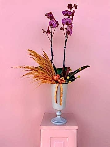 Cam Vazoda Asian Coral Orkide