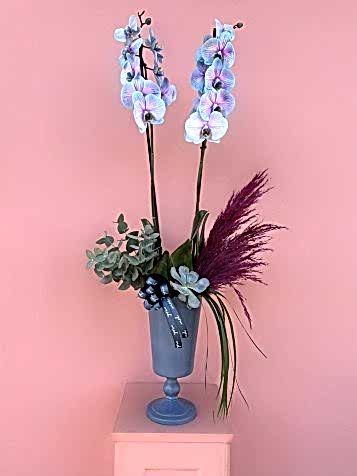 Cam Vazoda Rainbow Orkide