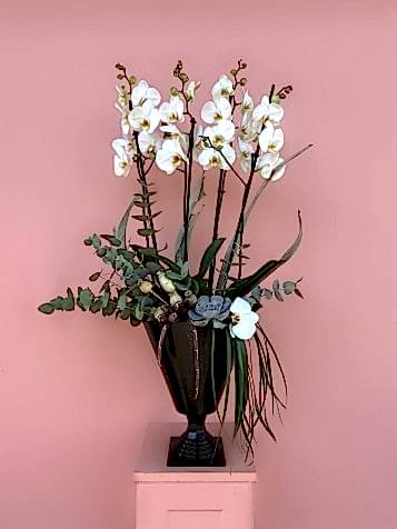 Siyah Cam Vazoda Beyaz Orkide Bahçesi