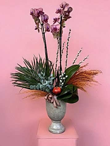 İki Dallı Özel Tür Surf Song Orkide