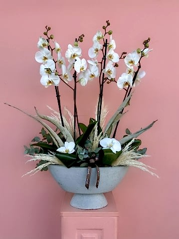 Beyaz Orkide Bahçesi