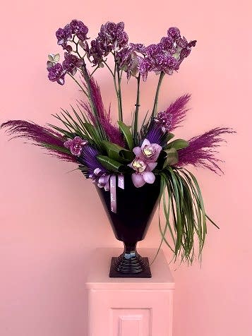 Siyah Cam Vazoda Özel Tür Wild Cat Orkide Bahçesi