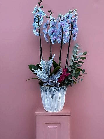 Özel Tasarım Seramik Vazoda Rainbow Mavi Orkide Bahçesi