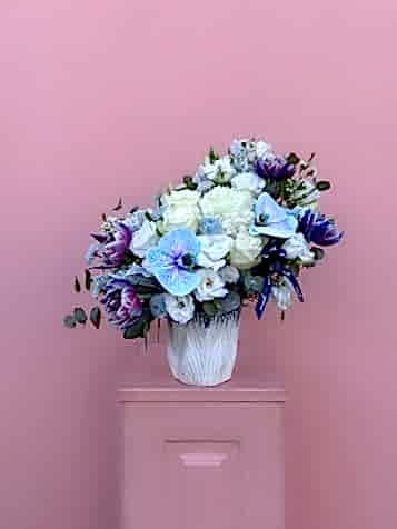 Ocean Dream Aranjman