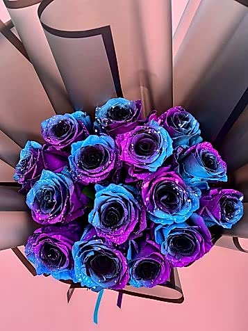 Galactic Roses Özel Ekvator Gülleri