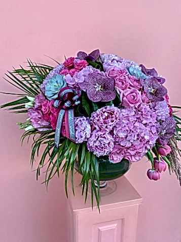 Neva Grand Deluxe Aranjman