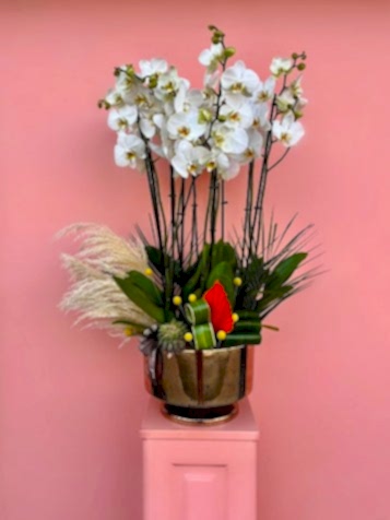 Özel Tasarım Lüks Beyaz Orkide Bahçesi